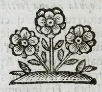 Picture 47 of 68 from Scena letteraria de gli scrittori Bergamaschi : aperta alla curiosita' de suoi concittadini (1664), leaf 472