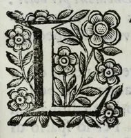 Picture 49 of 68 from Scena letteraria de gli scrittori Bergamaschi : aperta alla curiosita' de suoi concittadini (1664), leaf 487