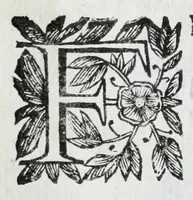 An illustration from Scena letteraria de gli scrittori Bergamaschi : aperta alla curiosita' de suoi concittadini (1664)