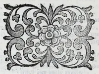 Picture 52 of 68 from Scena letteraria de gli scrittori Bergamaschi : aperta alla curiosita' de suoi concittadini (1664), leaf 516