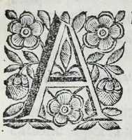 An illustration from Scena letteraria de gli scrittori Bergamaschi : aperta alla curiosita' de suoi concittadini (1664)