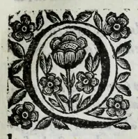 Picture 54 of 68 from Scena letteraria de gli scrittori Bergamaschi : aperta alla curiosita' de suoi concittadini (1664), leaf 533