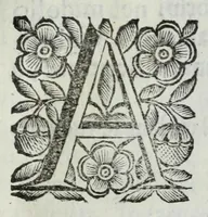 Picture 56 of 68 from Scena letteraria de gli scrittori Bergamaschi : aperta alla curiosita' de suoi concittadini (1664), leaf 551