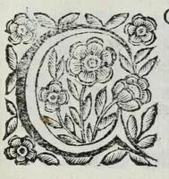 Picture 60 of 68 from Scena letteraria de gli scrittori Bergamaschi : aperta alla curiosita' de suoi concittadini (1664), leaf 563