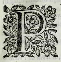 Picture 61 of 68 from Scena letteraria de gli scrittori Bergamaschi : aperta alla curiosita' de suoi concittadini (1664), leaf 573