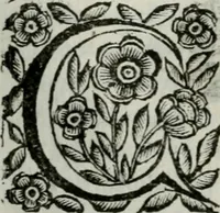An illustration from Scena letteraria de gli scrittori bergamaschi aperta alla cvriosità de svoi concittadini .. (1664)