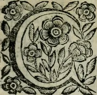Picture 62 of 328 from Scena letteraria de gli scrittori bergamaschi aperta alla cvriosità de svoi concittadini .. (1664), leaf 120