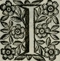 Picture 67 of 328 from Scena letteraria de gli scrittori bergamaschi aperta alla cvriosità de svoi concittadini .. (1664), leaf 127
