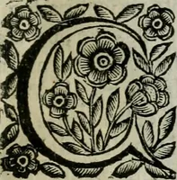 An illustration from Scena letteraria de gli scrittori bergamaschi aperta alla cvriosità de svoi concittadini .. (1664)