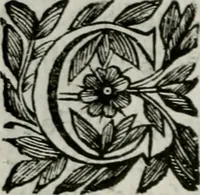 Picture 75 of 328 from Scena letteraria de gli scrittori bergamaschi aperta alla cvriosità de svoi concittadini .. (1664), leaf 141