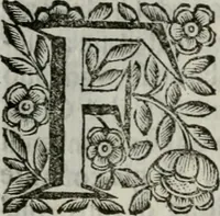 Picture 76 of 328 from Scena letteraria de gli scrittori bergamaschi aperta alla cvriosità de svoi concittadini .. (1664), leaf 143