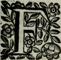 An illustration from Scena letteraria de gli scrittori bergamaschi aperta alla cvriosità de svoi concittadini .. (1664)