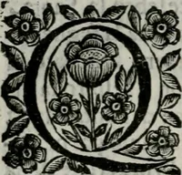 An illustration from Scena letteraria de gli scrittori bergamaschi aperta alla cvriosità de svoi concittadini .. (1664)