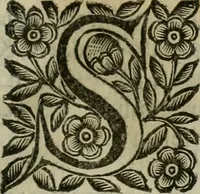 An illustration from Scena letteraria de gli scrittori bergamaschi aperta alla cvriosità de svoi concittadini .. (1664)