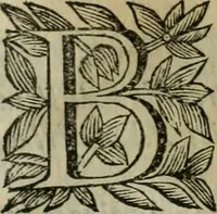 Picture 102 of 328 from Scena letteraria de gli scrittori bergamaschi aperta alla cvriosità de svoi concittadini .. (1664), leaf 190