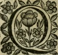 An illustration from Scena letteraria de gli scrittori bergamaschi aperta alla cvriosità de svoi concittadini .. (1664)