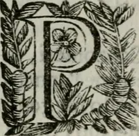 An illustration from Scena letteraria de gli scrittori bergamaschi aperta alla cvriosità de svoi concittadini .. (1664)