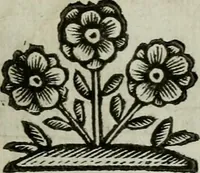 Picture 106 of 328 from Scena letteraria de gli scrittori bergamaschi aperta alla cvriosità de svoi concittadini .. (1664), leaf 196