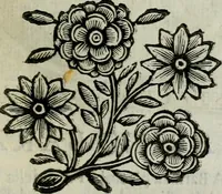 An illustration from Scena letteraria de gli scrittori bergamaschi aperta alla cvriosità de svoi concittadini .. (1664)
