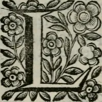 An illustration from Scena letteraria de gli scrittori bergamaschi aperta alla cvriosità de svoi concittadini .. (1664)