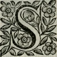 An illustration from Scena letteraria de gli scrittori bergamaschi aperta alla cvriosità de svoi concittadini .. (1664)