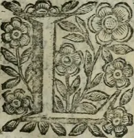 An illustration from Scena letteraria de gli scrittori bergamaschi aperta alla cvriosità de svoi concittadini .. (1664)
