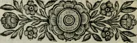 An illustration from Scena letteraria de gli scrittori bergamaschi aperta alla cvriosità de svoi concittadini .. (1664)