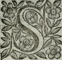 An illustration from Scena letteraria de gli scrittori bergamaschi aperta alla cvriosità de svoi concittadini .. (1664)
