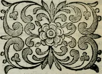 Picture 137 of 328 from Scena letteraria de gli scrittori bergamaschi aperta alla cvriosità de svoi concittadini .. (1664), leaf 255