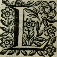 Picture 141 of 328 from Scena letteraria de gli scrittori bergamaschi aperta alla cvriosità de svoi concittadini .. (1664), leaf 260