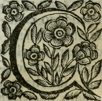 Picture 142 of 328 from Scena letteraria de gli scrittori bergamaschi aperta alla cvriosità de svoi concittadini .. (1664), leaf 264