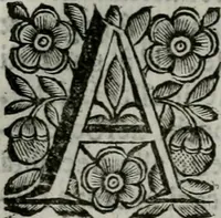 Picture 9 of 328 from Scena letteraria de gli scrittori bergamaschi aperta alla cvriosità de svoi concittadini .. (1664), leaf 27