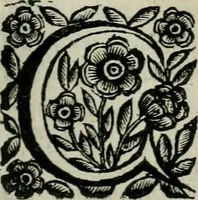 An illustration from Scena letteraria de gli scrittori bergamaschi aperta alla cvriosità de svoi concittadini .. (1664)