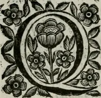 An illustration from Scena letteraria de gli scrittori bergamaschi aperta alla cvriosità de svoi concittadini .. (1664)