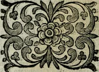 Picture 164 of 328 from Scena letteraria de gli scrittori bergamaschi aperta alla cvriosità de svoi concittadini .. (1664), leaf 307