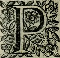 Picture 165 of 328 from Scena letteraria de gli scrittori bergamaschi aperta alla cvriosità de svoi concittadini .. (1664), leaf 308