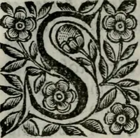 Picture 11 of 328 from Scena letteraria de gli scrittori bergamaschi aperta alla cvriosità de svoi concittadini .. (1664), leaf 31