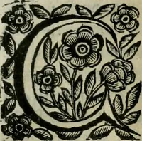 An illustration from Scena letteraria de gli scrittori bergamaschi aperta alla cvriosità de svoi concittadini .. (1664)