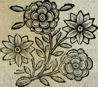 An illustration from Scena letteraria de gli scrittori bergamaschi aperta alla cvriosità de svoi concittadini .. (1664)