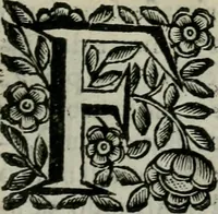 Picture 176 of 328 from Scena letteraria de gli scrittori bergamaschi aperta alla cvriosità de svoi concittadini .. (1664), leaf 326