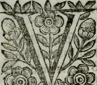 Picture 184 of 328 from Scena letteraria de gli scrittori bergamaschi aperta alla cvriosità de svoi concittadini .. (1664), leaf 353