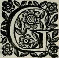 An illustration from Scena letteraria de gli scrittori bergamaschi aperta alla cvriosità de svoi concittadini .. (1664)