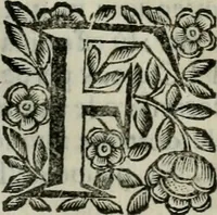 Picture 193 of 328 from Scena letteraria de gli scrittori bergamaschi aperta alla cvriosità de svoi concittadini .. (1664), leaf 368