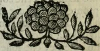 An illustration from Scena letteraria de gli scrittori bergamaschi aperta alla cvriosità de svoi concittadini .. (1664)