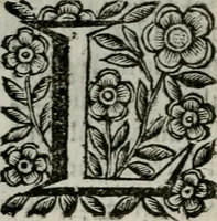Picture 196 of 328 from Scena letteraria de gli scrittori bergamaschi aperta alla cvriosità de svoi concittadini .. (1664), leaf 373