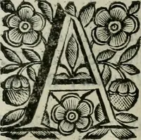 Picture 197 of 328 from Scena letteraria de gli scrittori bergamaschi aperta alla cvriosità de svoi concittadini .. (1664), leaf 376