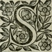 Picture 200 of 328 from Scena letteraria de gli scrittori bergamaschi aperta alla cvriosità de svoi concittadini .. (1664), leaf 382