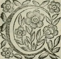 An illustration from Scena letteraria de gli scrittori bergamaschi aperta alla cvriosità de svoi concittadini .. (1664)