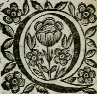 An illustration from Scena letteraria de gli scrittori bergamaschi aperta alla cvriosità de svoi concittadini .. (1664)