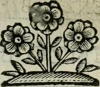 Picture 204 of 328 from Scena letteraria de gli scrittori bergamaschi aperta alla cvriosità de svoi concittadini .. (1664), leaf 388